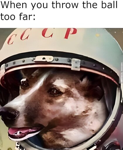 A picture lf Laika the Soviet space dog wearing a cosmonaut helmet with the letters CCCP. A caption above says, "When you throw the ball too far."